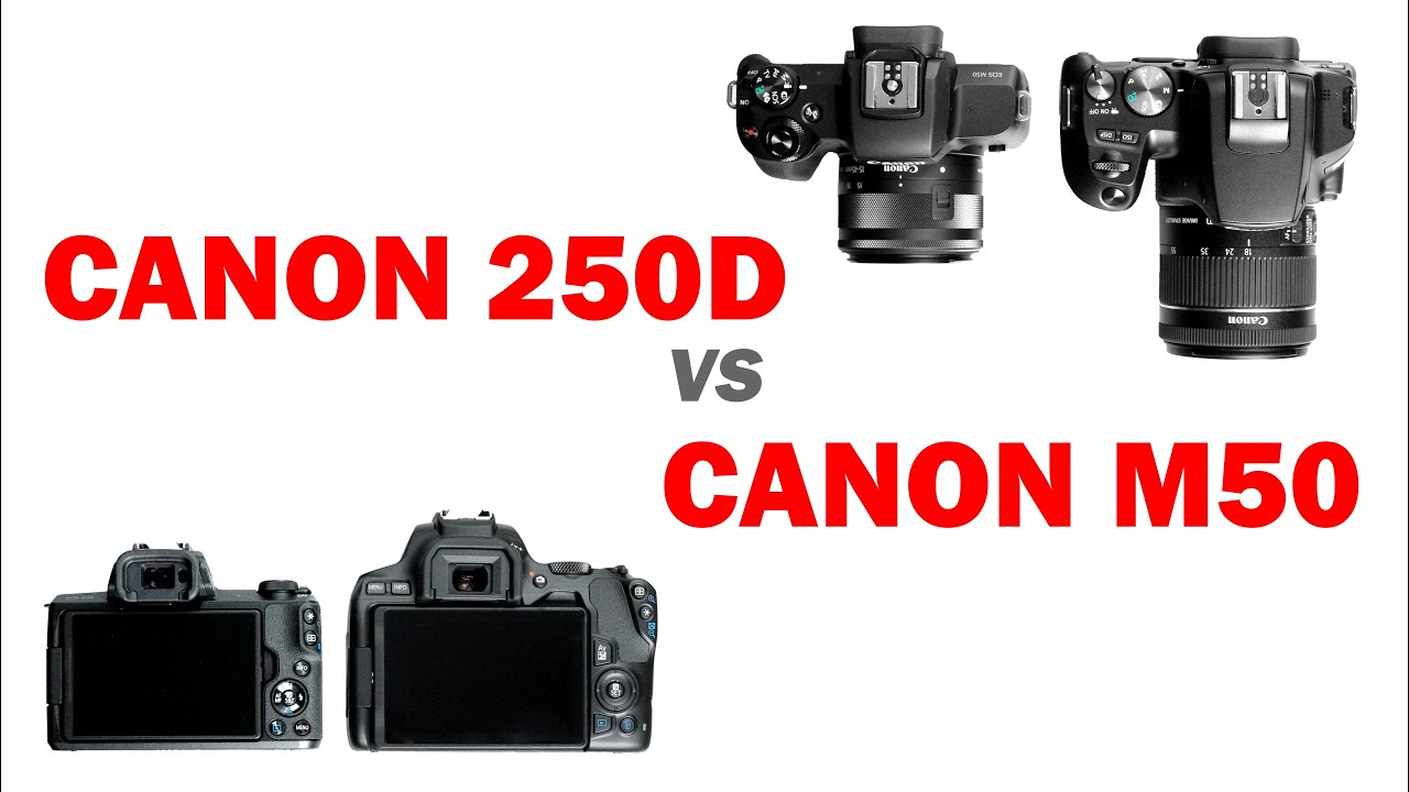 Обзор сравнение Canon 250D vs Canon M50