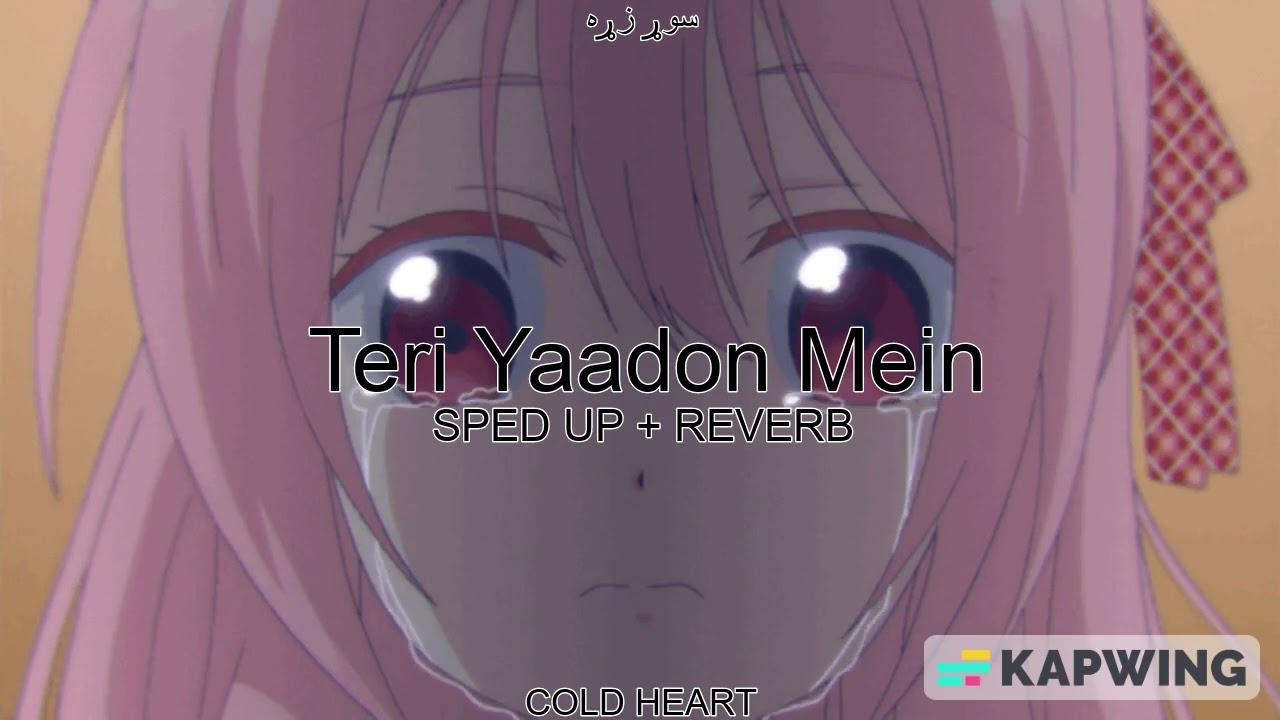 Teri Yaadon Mein (SPED UP + REVERB) | K.K., & Shreya Ghoshal | سوړ زړه AKA COLD HEART