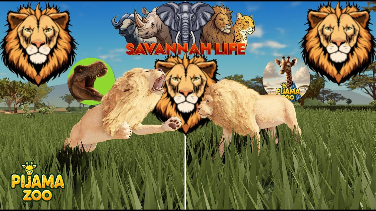 Savannah Life. Markin e PijamaZoo em uma aventura leãonastica 29#.