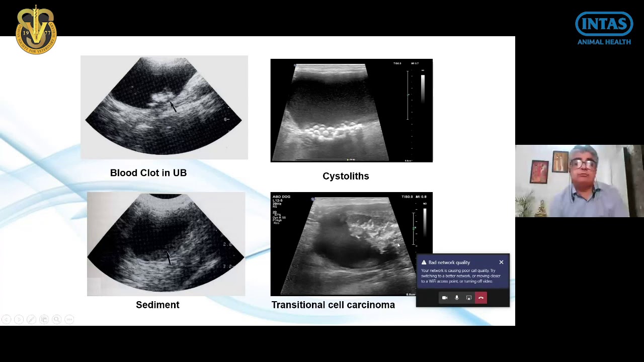 Recording of Third Webinar of ISVS (05-06-2020)