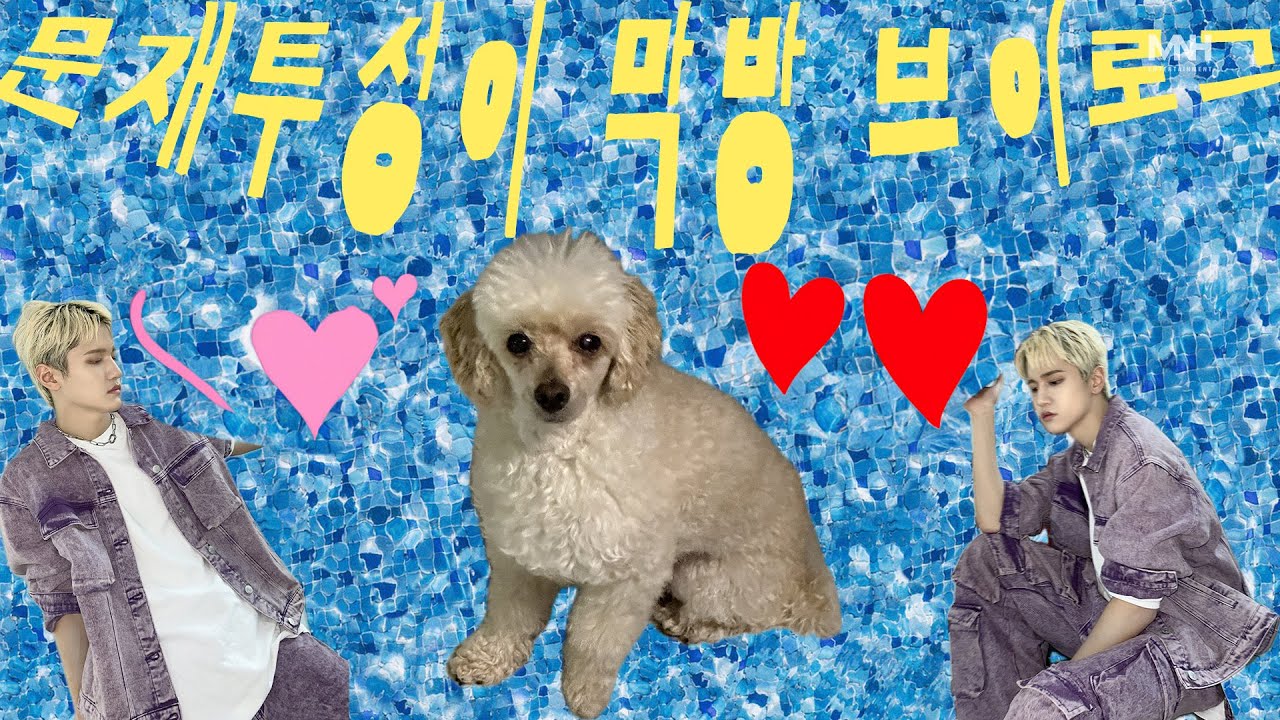 💼완생을 꿈꾸며 이번 러펌펌도 🎵ALL CLEAR LET IT GO🎵 | 문재윤의 문재투성이 브이로그🕺🏼 [SUB]