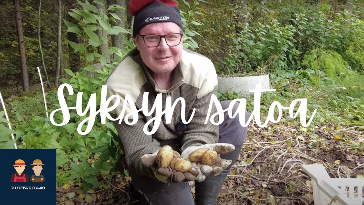 Syksyn satoa