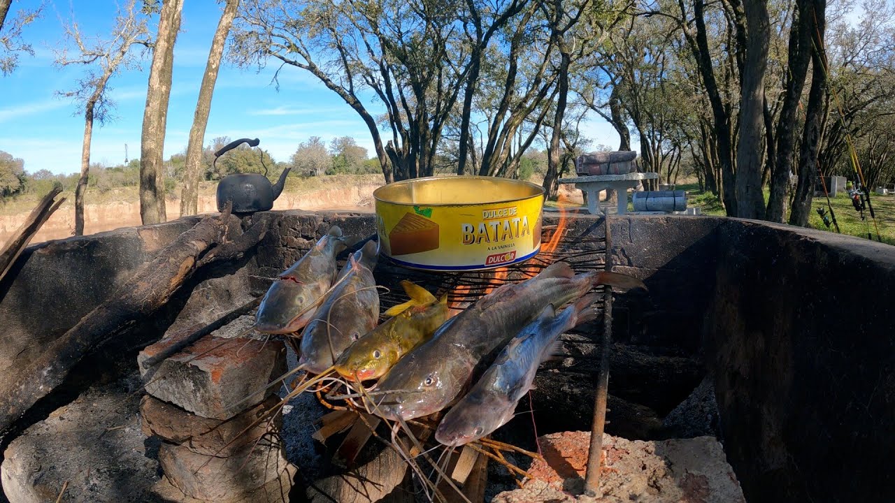 Pesca y Cocina en Rio con POZOS profundos, Campamento y Bagres Fritos en Lata, Pesca de Barrio