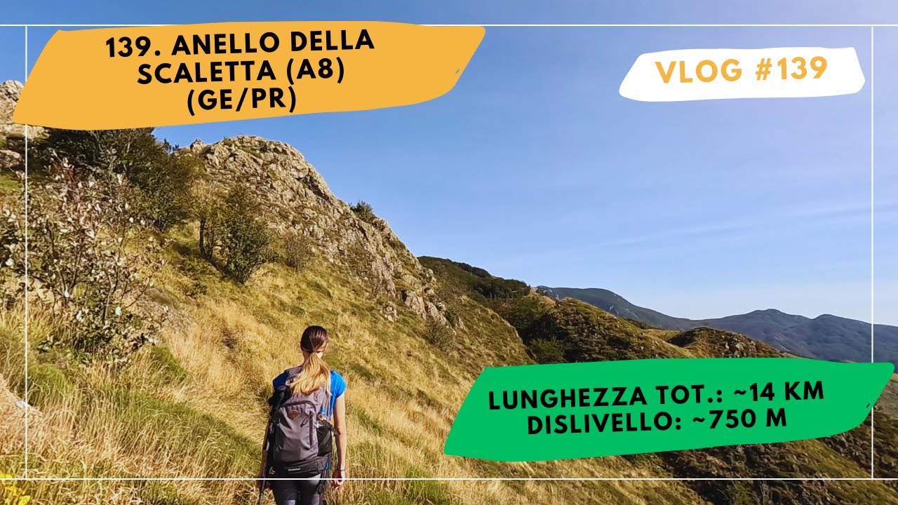 139. Anello della Scaletta A8 (Rif. Monte Aiona - Pietra Borghese - Rif. Malga Zanoni)