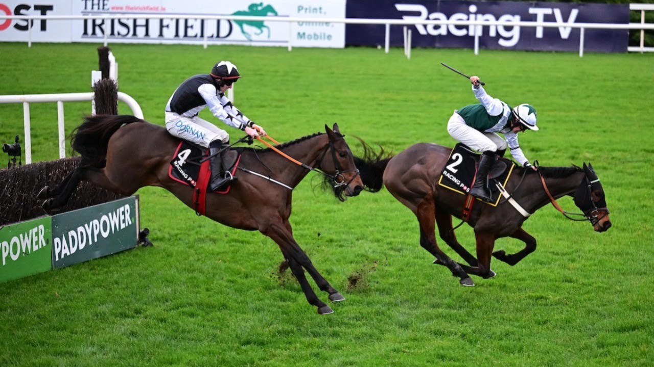 REPLAY: Irish racing on St Stephen's Day 2025 from Leopardstown, Limerick and Down Royal