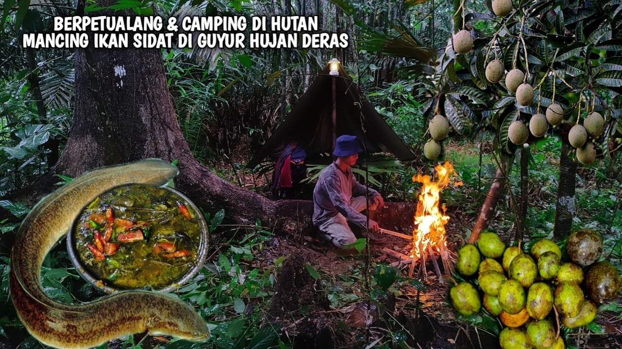 Berpetualang & Camping, panen buah-buahan liar di hutan, pasang pancing dan masak ikan sidat 