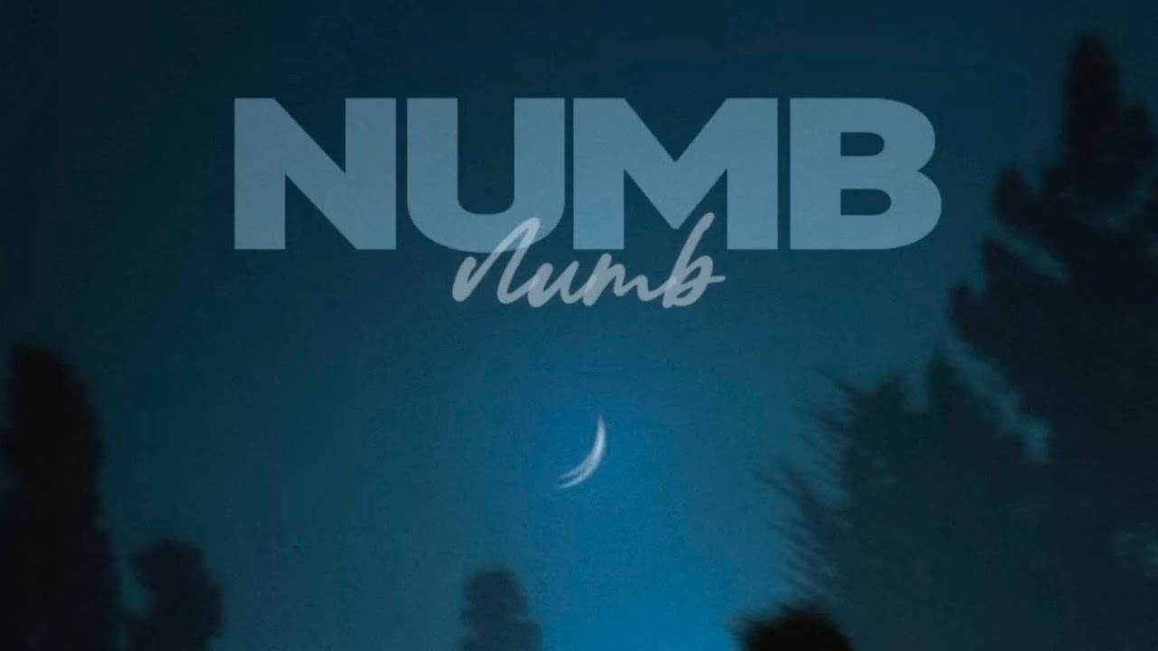 Zever - Numb Ft. Vivaad