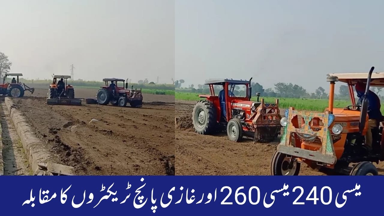 Tractor Muqabla Ghazi Tractor Mf 260 MF 240 tracto r | ghazi vs Masey 260 |Mukabla in pakistan 2022