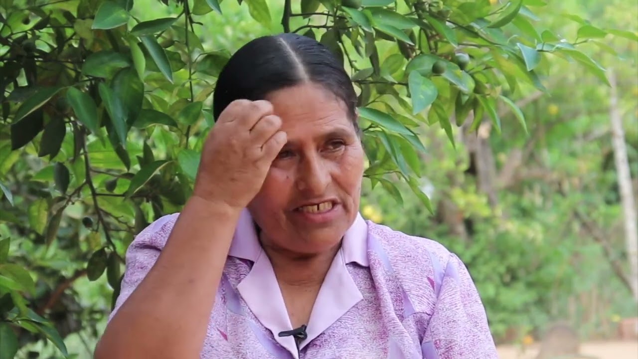 Tariquía para todos
