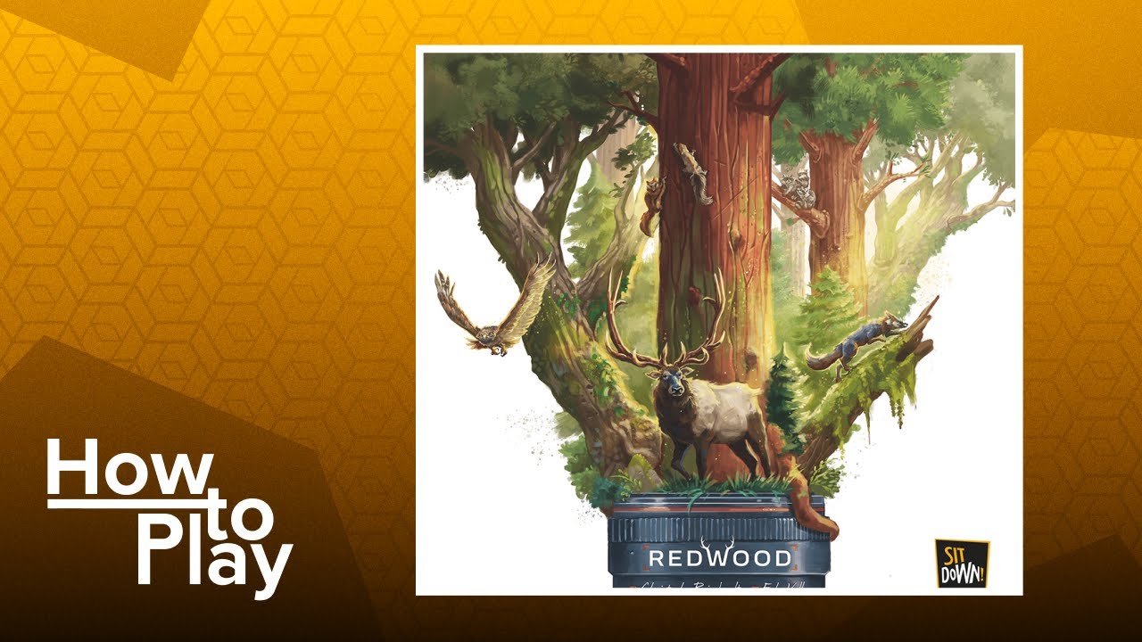 Redwood - BGG How to Play