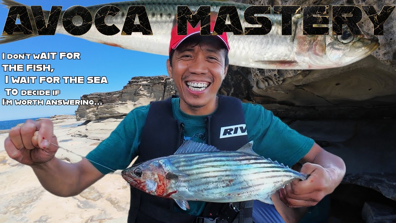 Avoca Fishing This Summer 🎣 | Bonito Season Is ON!