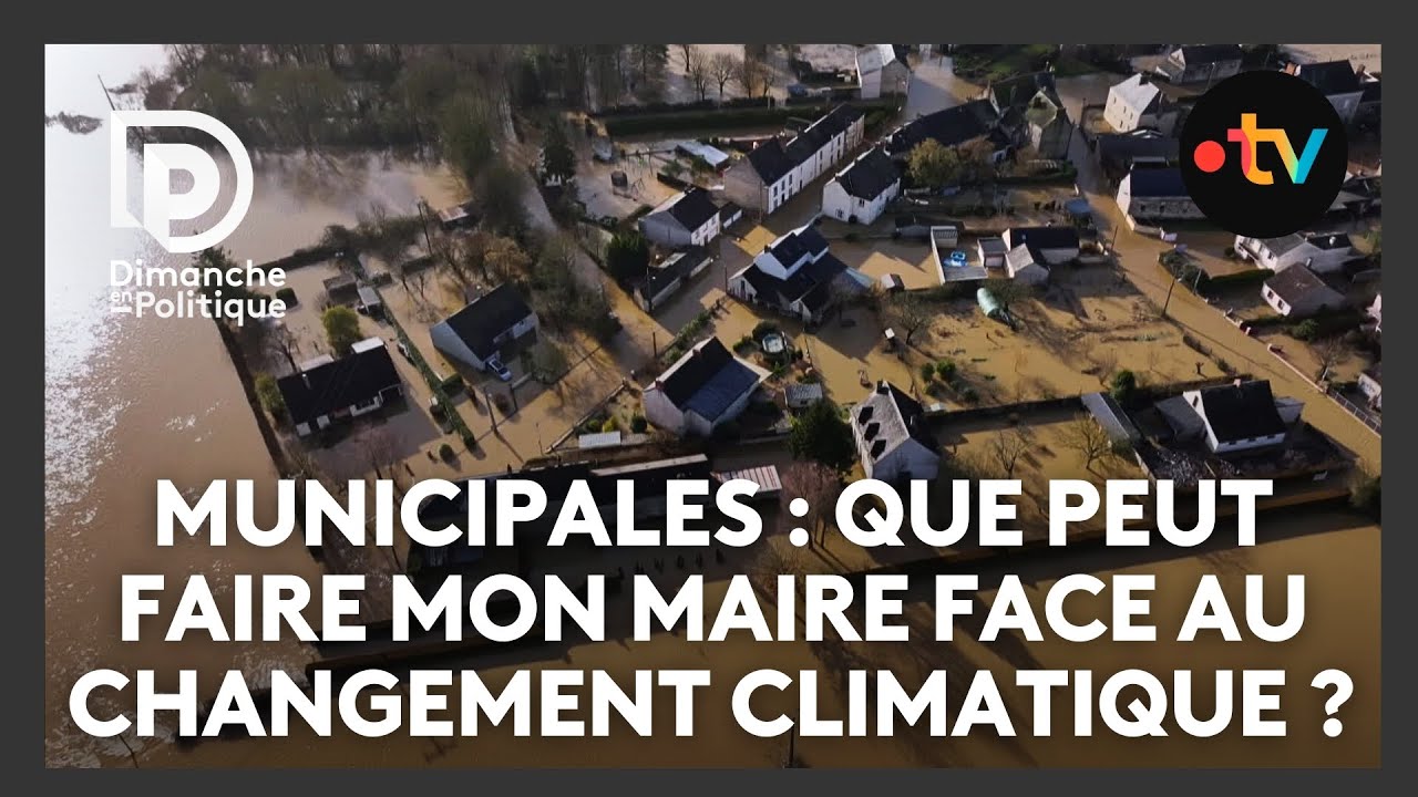 Municipales : que peut faire mon maire face au changement climatique ?