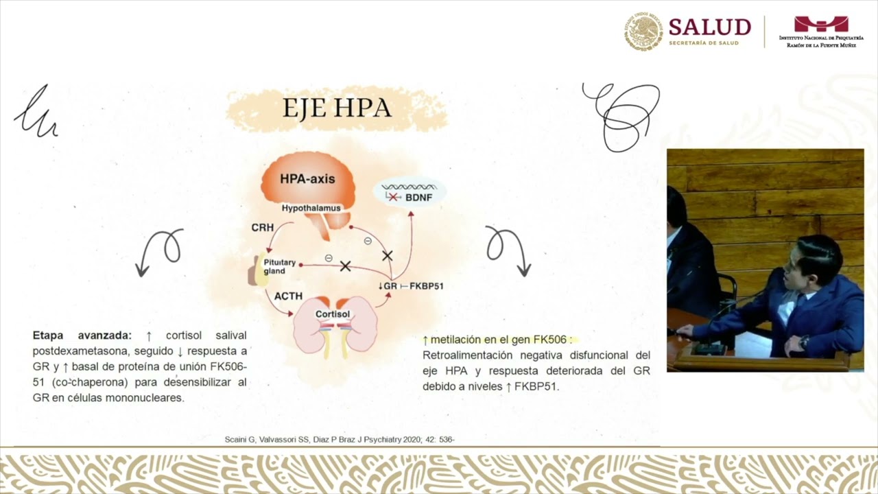 Neurobiología del trastorno bipolar: Hipótesis de la hiperactivación metabólica