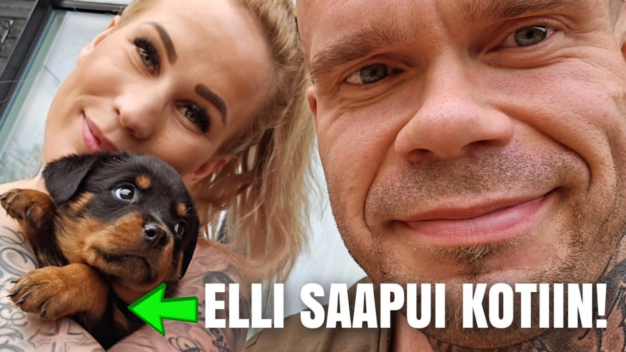 MEILLE TULI ROTTWEILER PENTU - ELLI 7VK😍