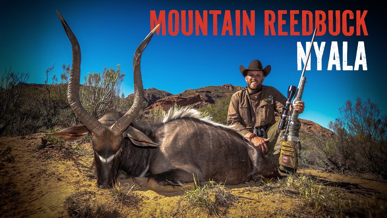 The hunt for Nyala and Mt. Reedbuck 