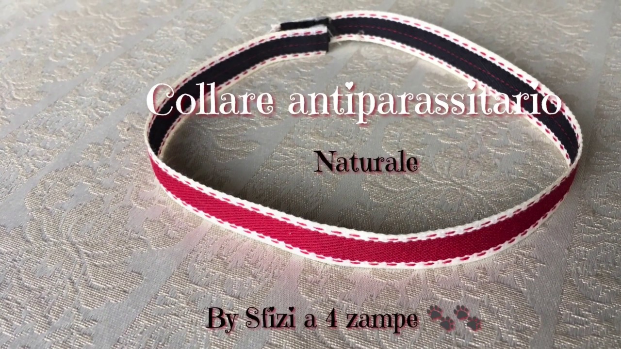 Collare antiparassitario naturale fai da te - DIY natural pesticide collar - Sfizi a 4 zampe 🐾🐾