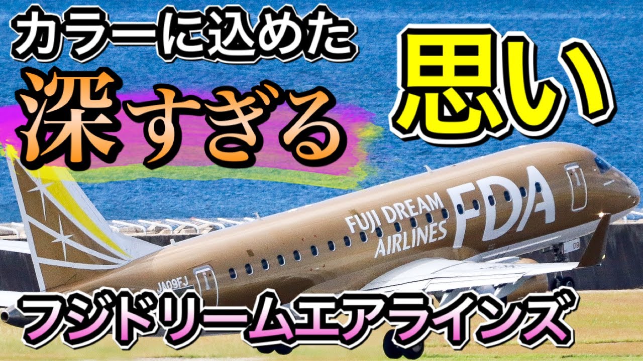 知っていると違った味わい　FDAの創業の思いとカラフルな機体の絶対に譲れない理由