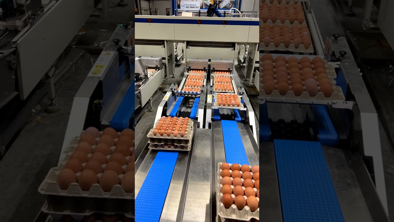 Tray stacker 104+105 behind a Moba Omnia 250