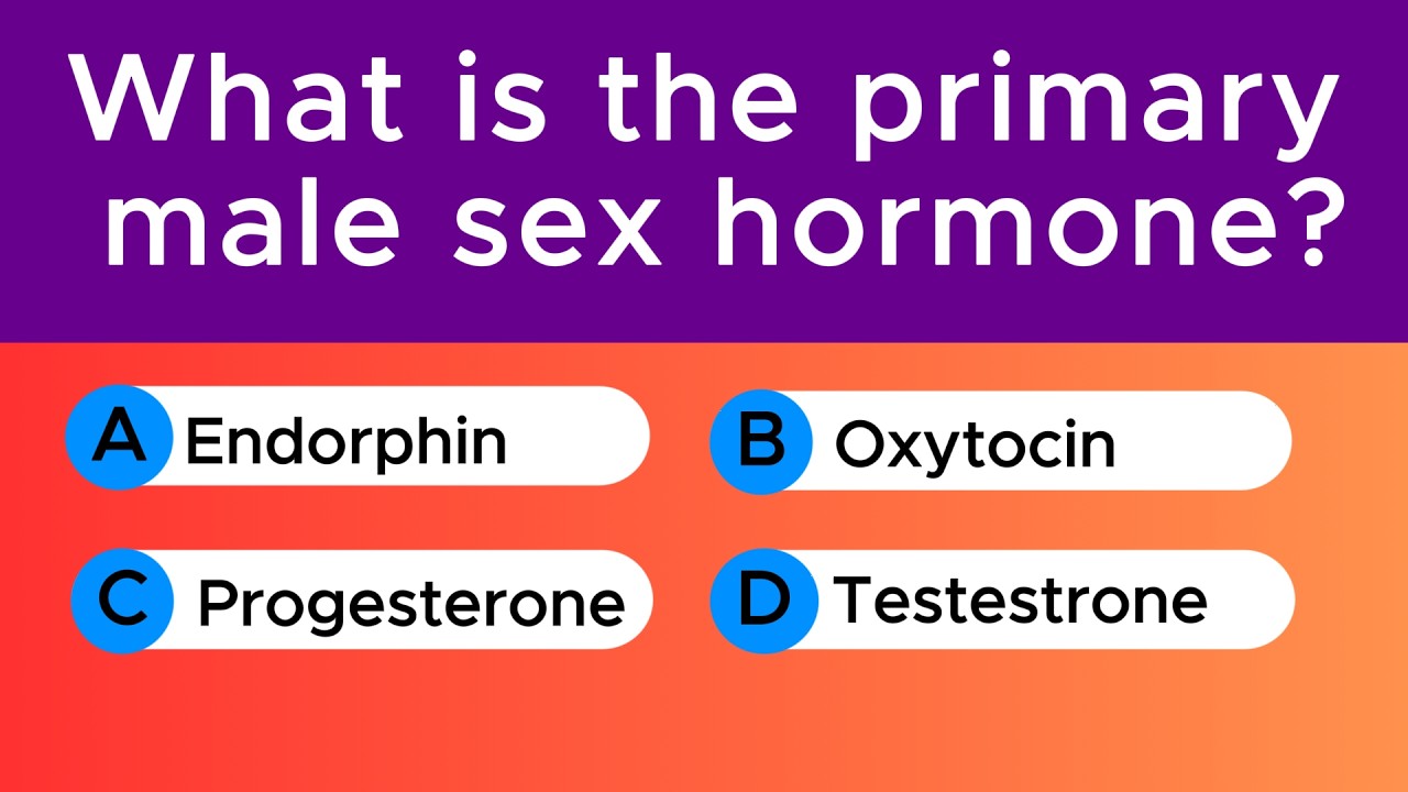 Test Your Human Body Knowledge (Easy to Hard)!!!