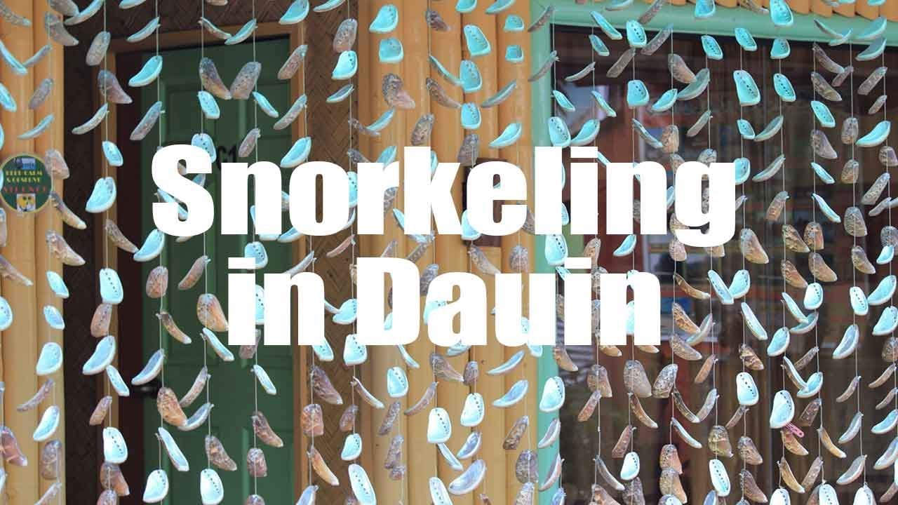 Snorkeling in Dauin, Philippines  | GoPro Hero 3+  | Virtual Trip