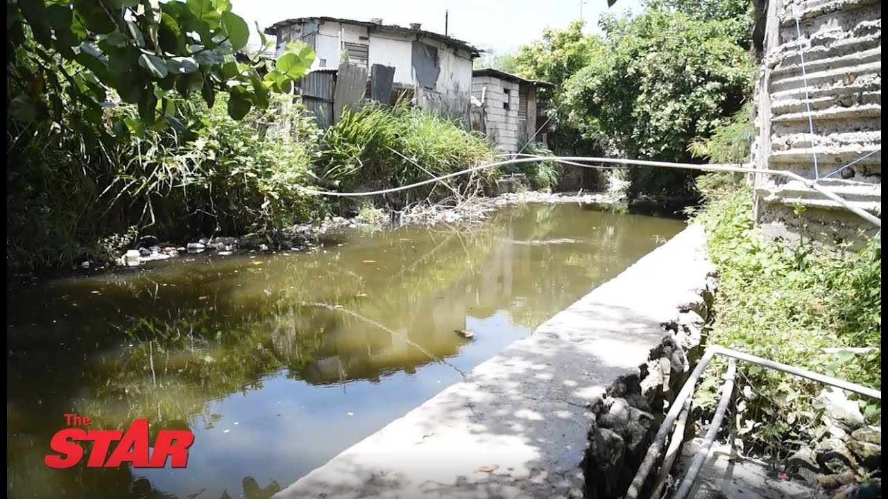 Resident pleads with authorities to clean gully amid crocodile attacks