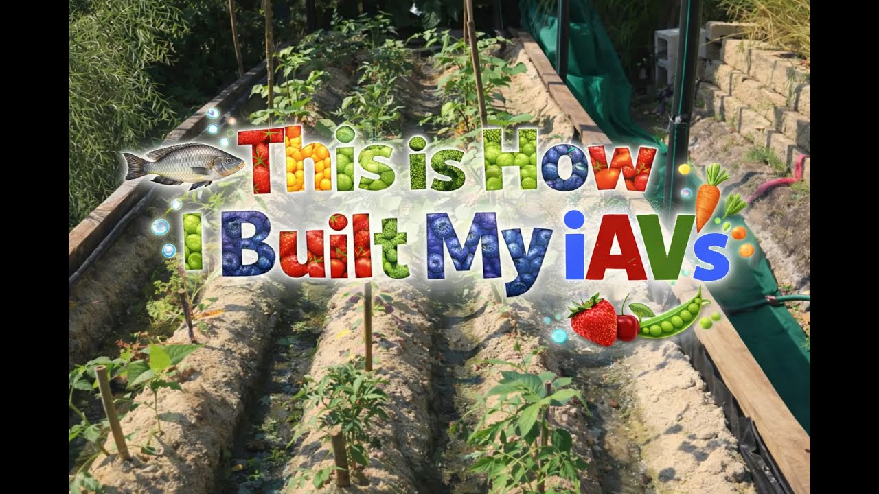 iAVs Build 2025 - Part 1 (no fish)