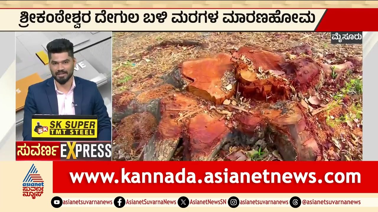 ನಂಜನಗೂಡಿನಲ್ಲಿ 46 ಮರಗಳ ಮಾರಣಹೋಮ! | Nanjangud Tree Felling Case | latest news | Suvarna News