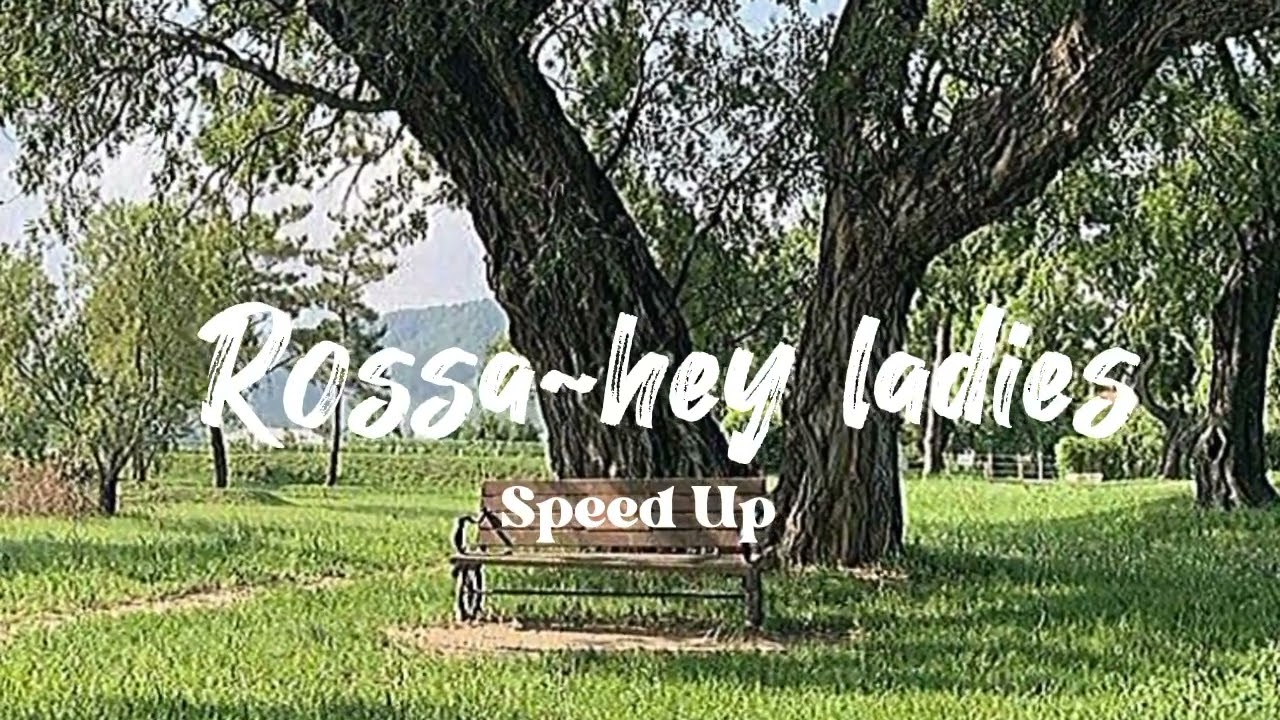 Speedup song [hey ladies-Rossa]