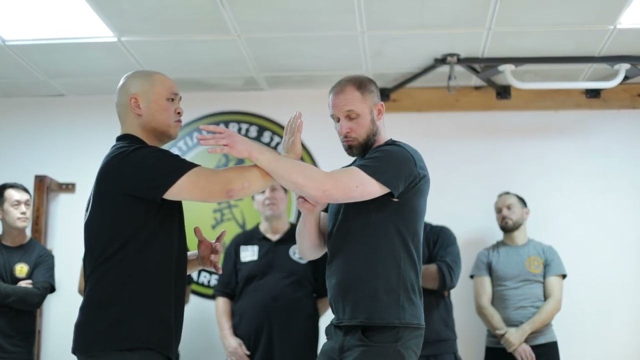 Wing Chun - Modify based on Requirements - Judong/Beidong