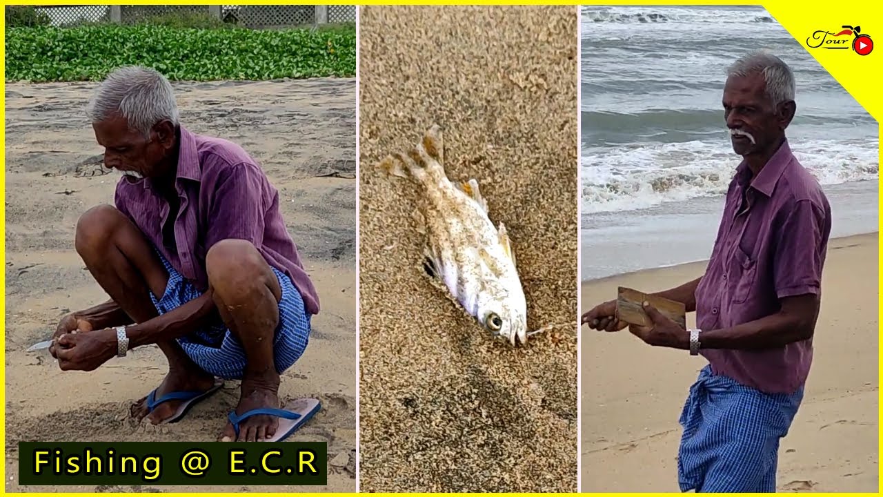 Sunday ECR Drive | Grandpa Fishing Techniques | ECR Chennai Fishing Spot | tourpolam