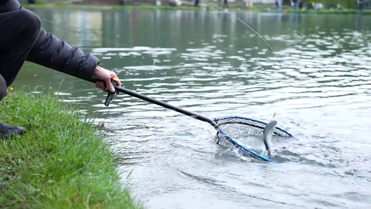 Trout Area Herakles Cup 2024