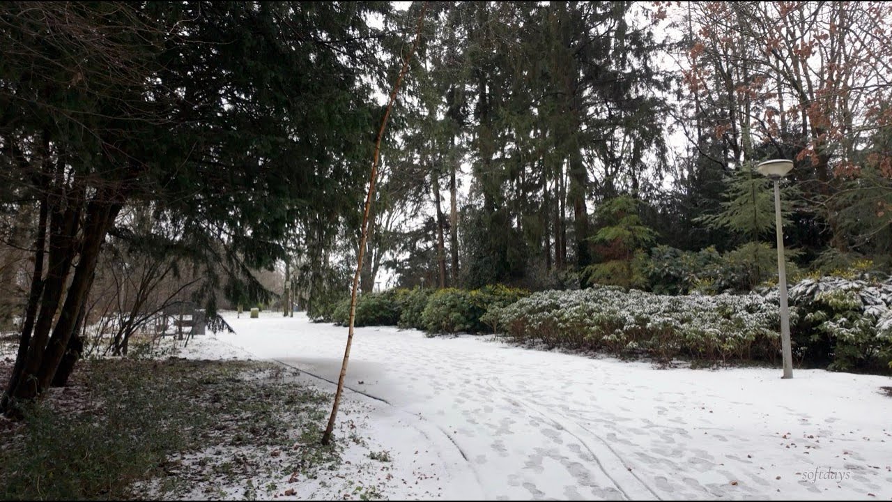 Winter Strolls | Snowy Amsterdam Park Walk with Natural City and Park Sounds