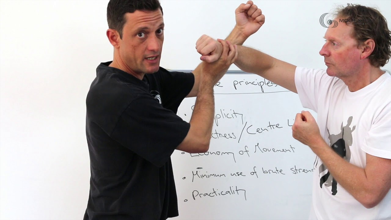 001 The Principles of Wing Chun - Momentum Wing Chun Kung Fu