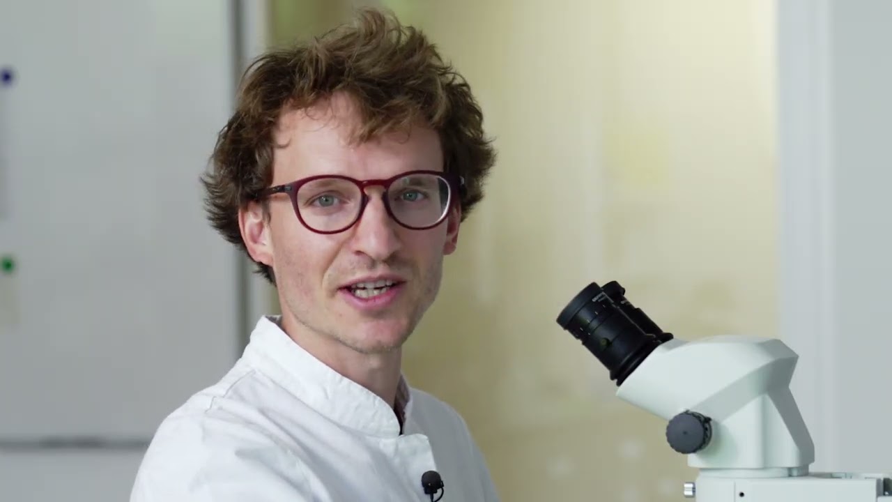 The free wealth of biodiversity explored by Swiss Institute