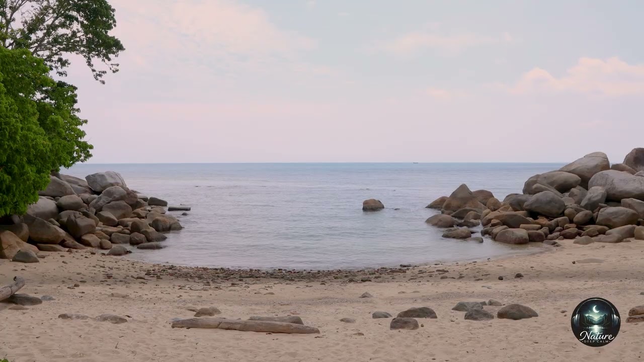 Peaceful Beach and Bird Sounds for Deep Sleep Calm Sea Ambience 8 Hours