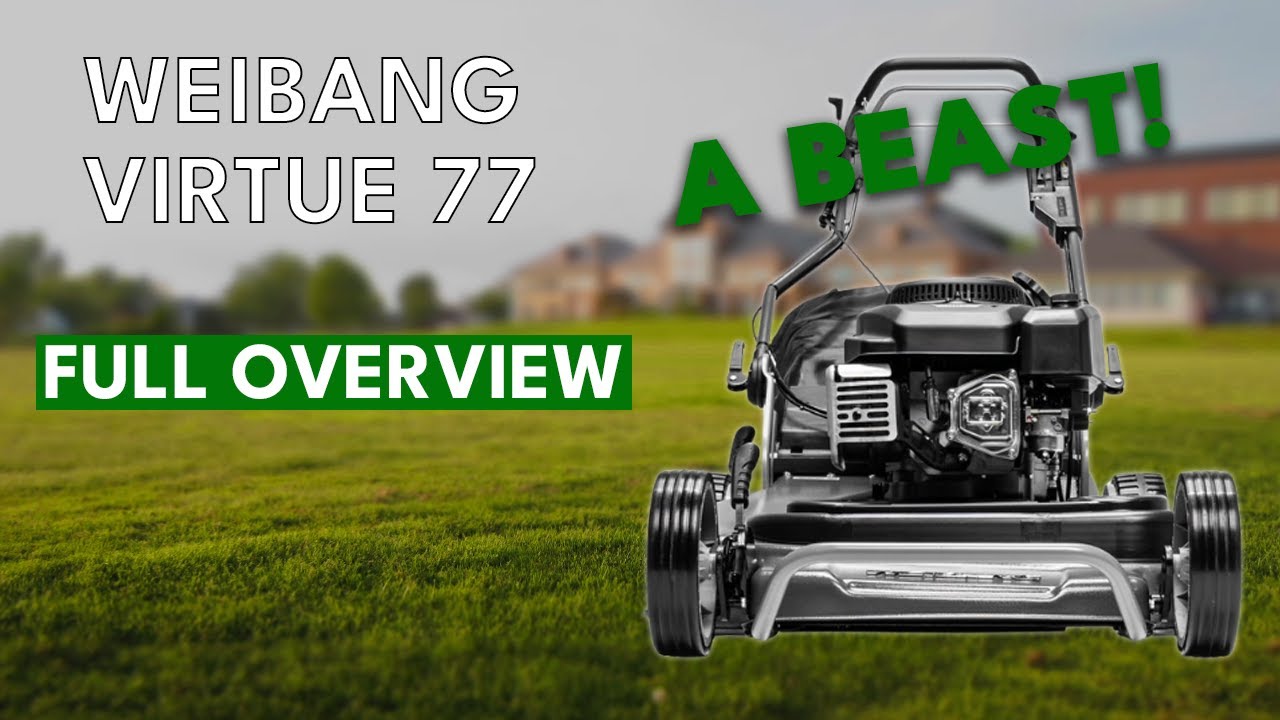 Weibang Virtue 77 | Everything You Need To Know