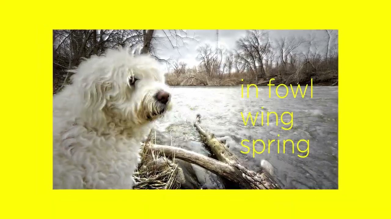 Lemon Media Marketing Professional Video Storytelling to Engage Your Brand