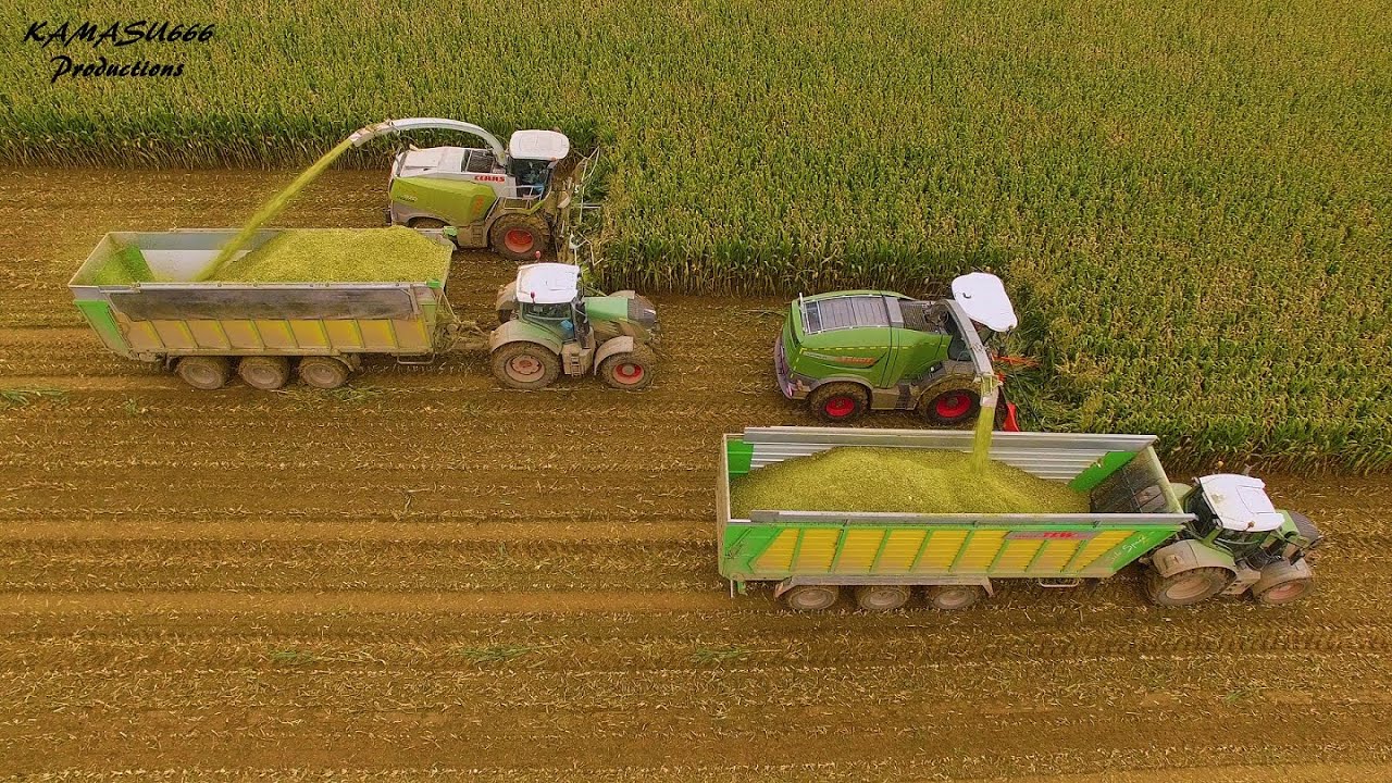 Fendt Katana VS. Claas Jaguar / Wintmolders / Mais 2019 / Maize / Corn Harvest / Fendt / Maïs 2019