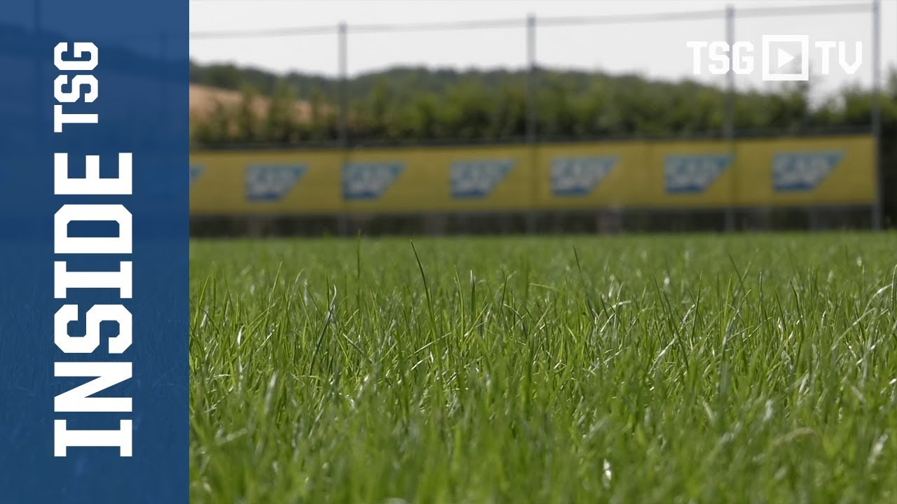 Die Mischung macht's - Neuer Hybridrasen für TSG-Profis