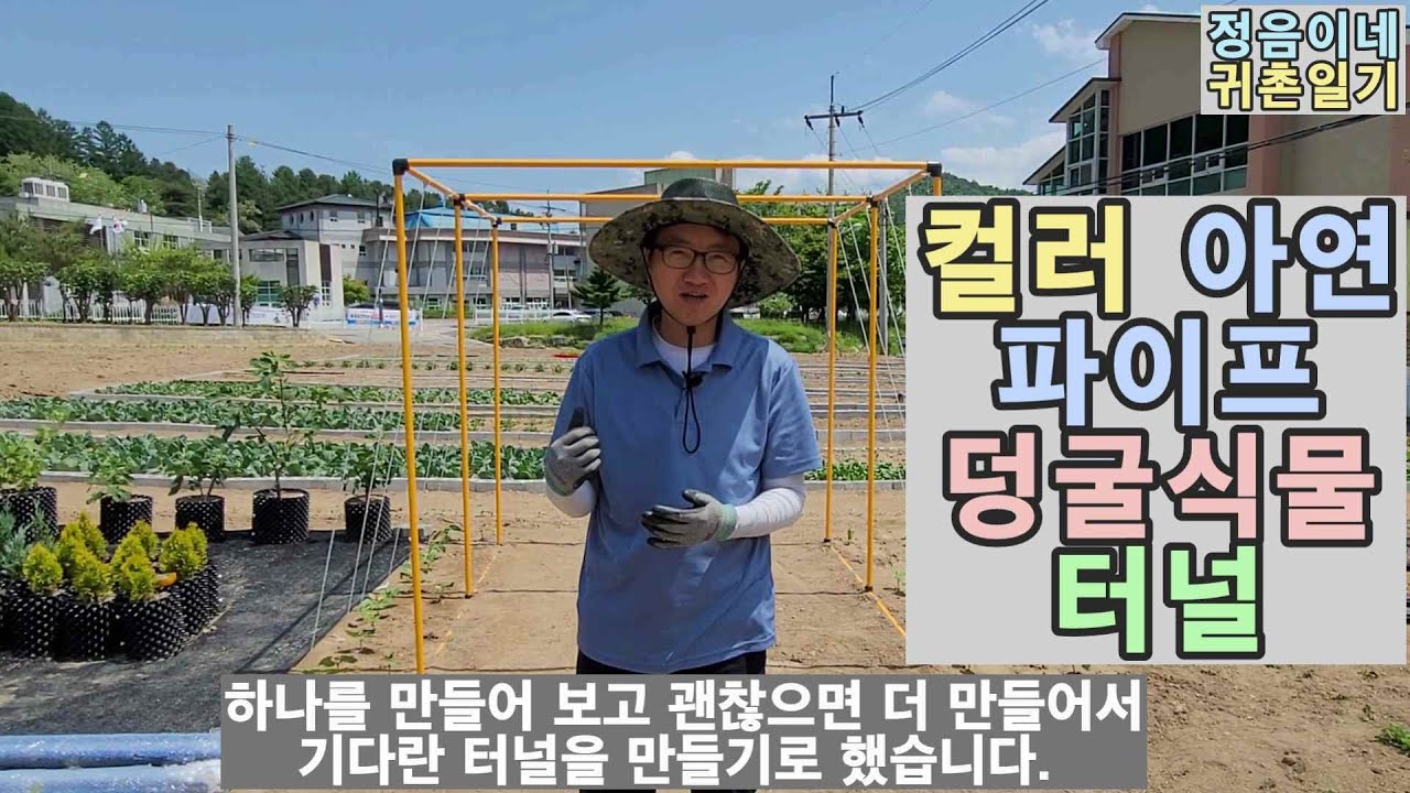 13  컬러 아연파이프로 덩굴식물 지지 터널 만들기1(소개편)