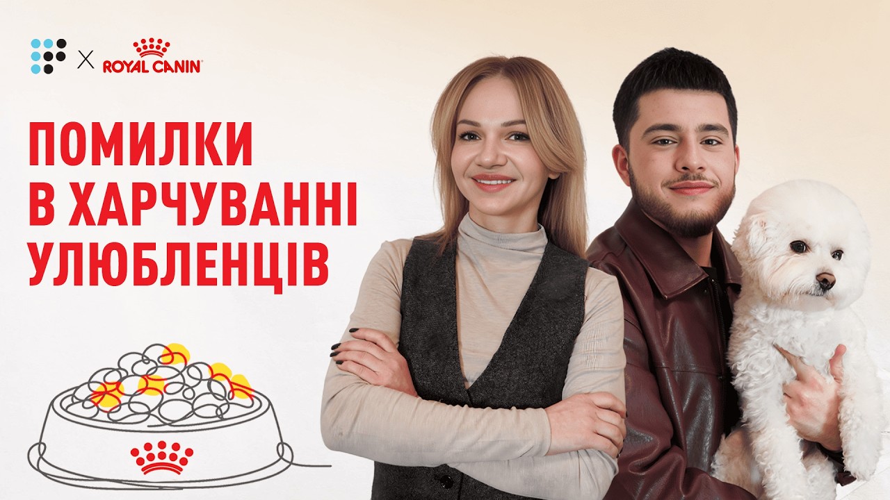 Як обрати корм для кота і собаки: поради від ветеринарки