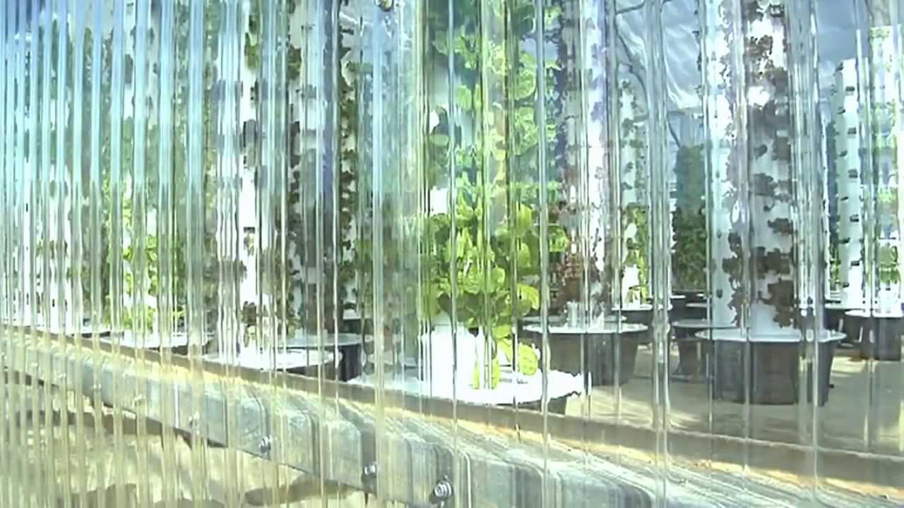 Future Growing Tower Garden® Farm at Nature Crisp, Southern Georgia