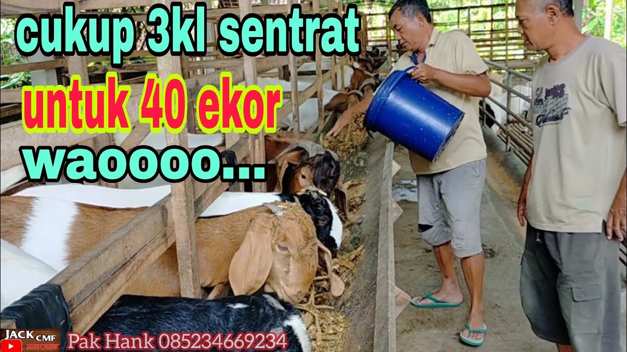 ilmu profesor... tak masuk logika hasil luar biasa