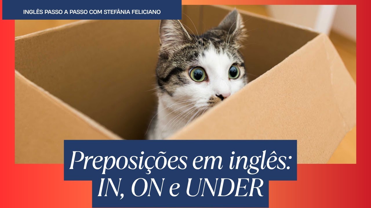 Exercícios com IN, On, Under- preposições em inglês 