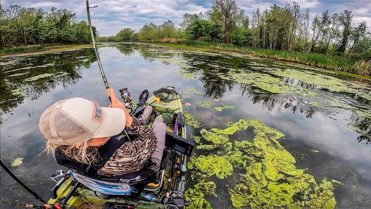 Fishing Lake Dardanelle Backwaters (Tourney Recap)