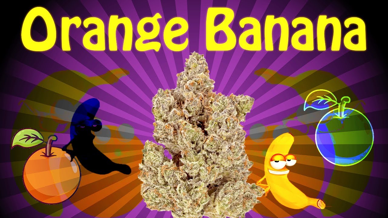 Wonderbrett Orange Banana #StrainReview
