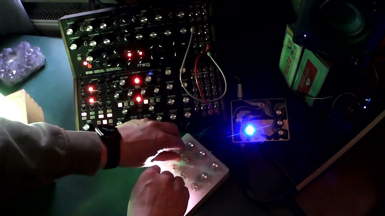 Random Echo Generator with moog DFAM and subharmonicon