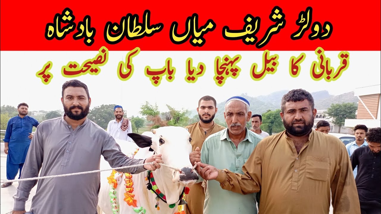 Dullar Sharif Mian Sultan Badshah || Baity nay baap ki wasiat pori kr di || (@ApniNagri