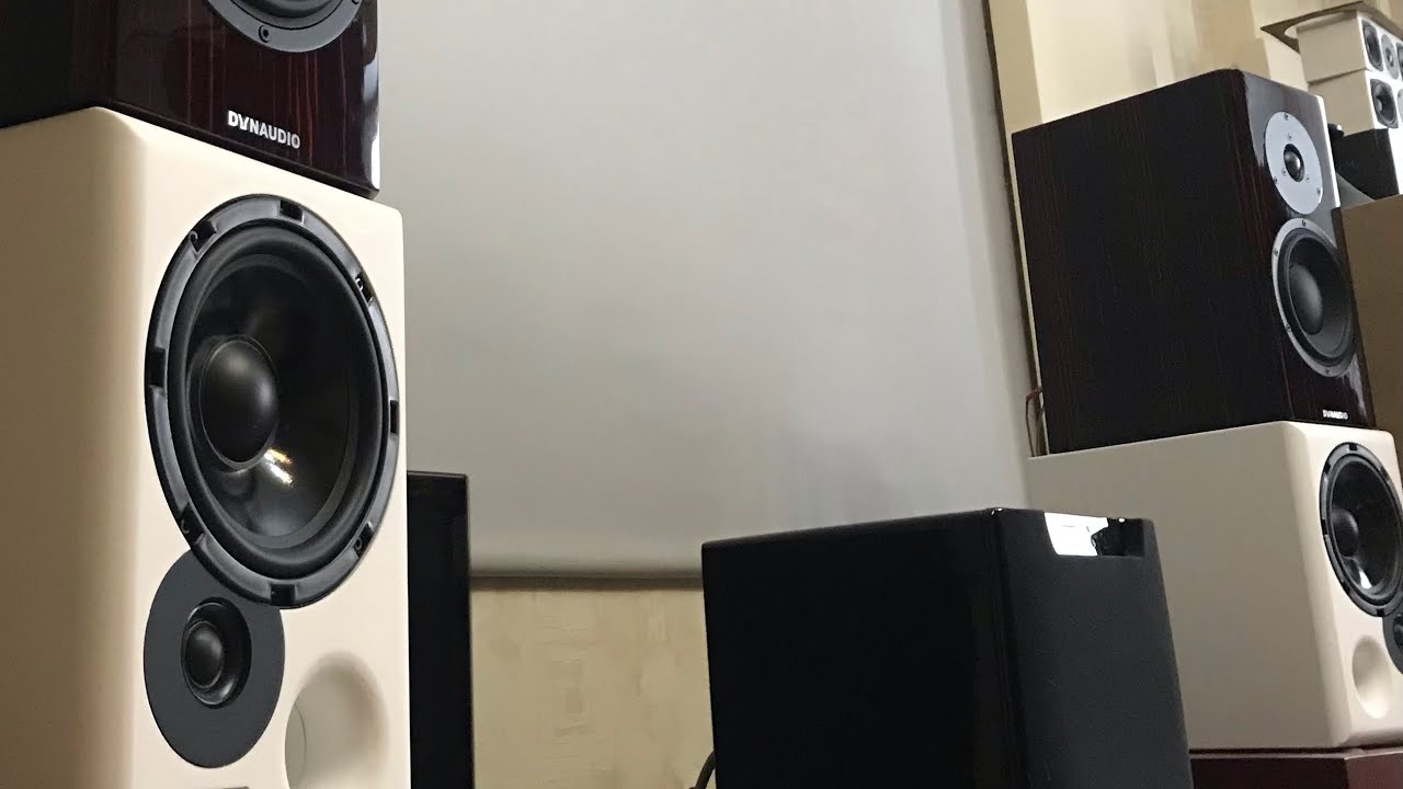 Сравнительное прослушивание dynaudio special forty & Nat Speak black comet mini.