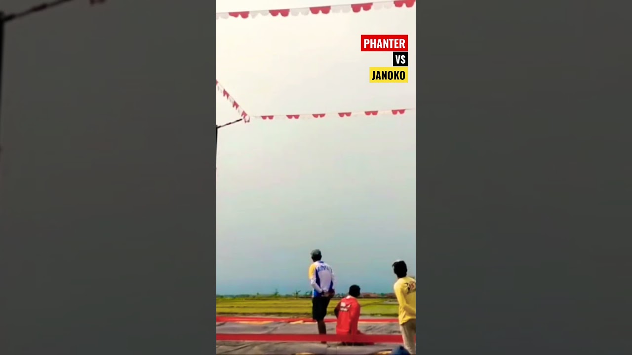 JANOKO/BATAVIA VS PHANTER AdikaNBS #merpati #merpatikolong